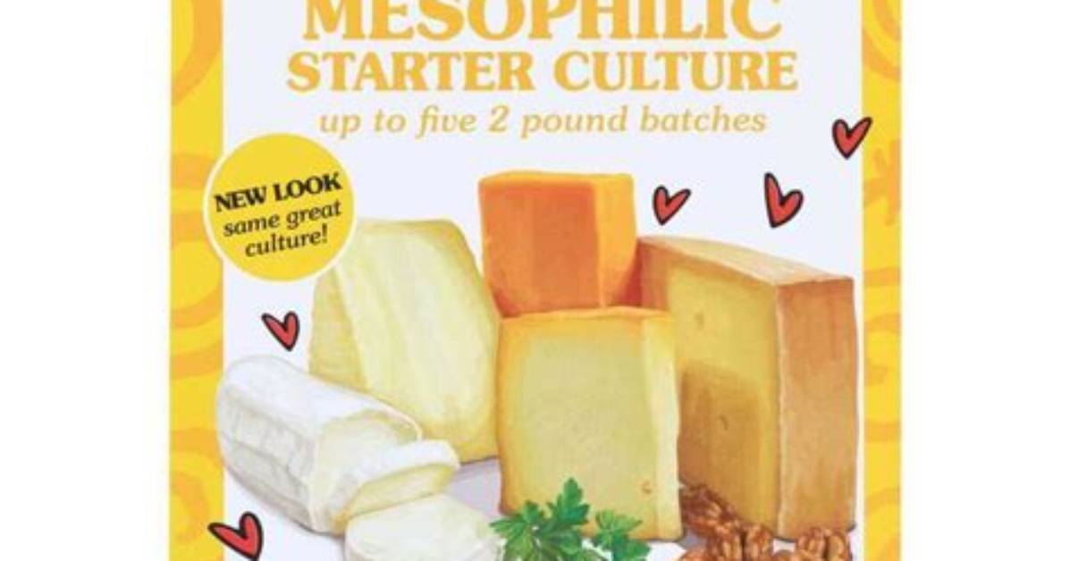 Are Cheese Starter Cultures Vegetarian?