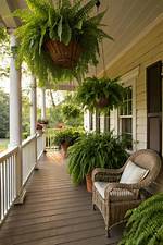 Are Ferns Good for Porches?