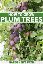 Are There Any Plum Trees That Do Not Produce Fruit?