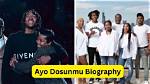 Ayo Animashaun’s Biography, Net Worth, Fact, Career, Awards and Life Story