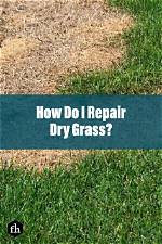 Can Grass Repair Itself?