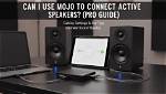 Can I Connect Active Monitor Speakers?