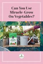 Can I Use Miracle Grow on Newly Planted Trees?