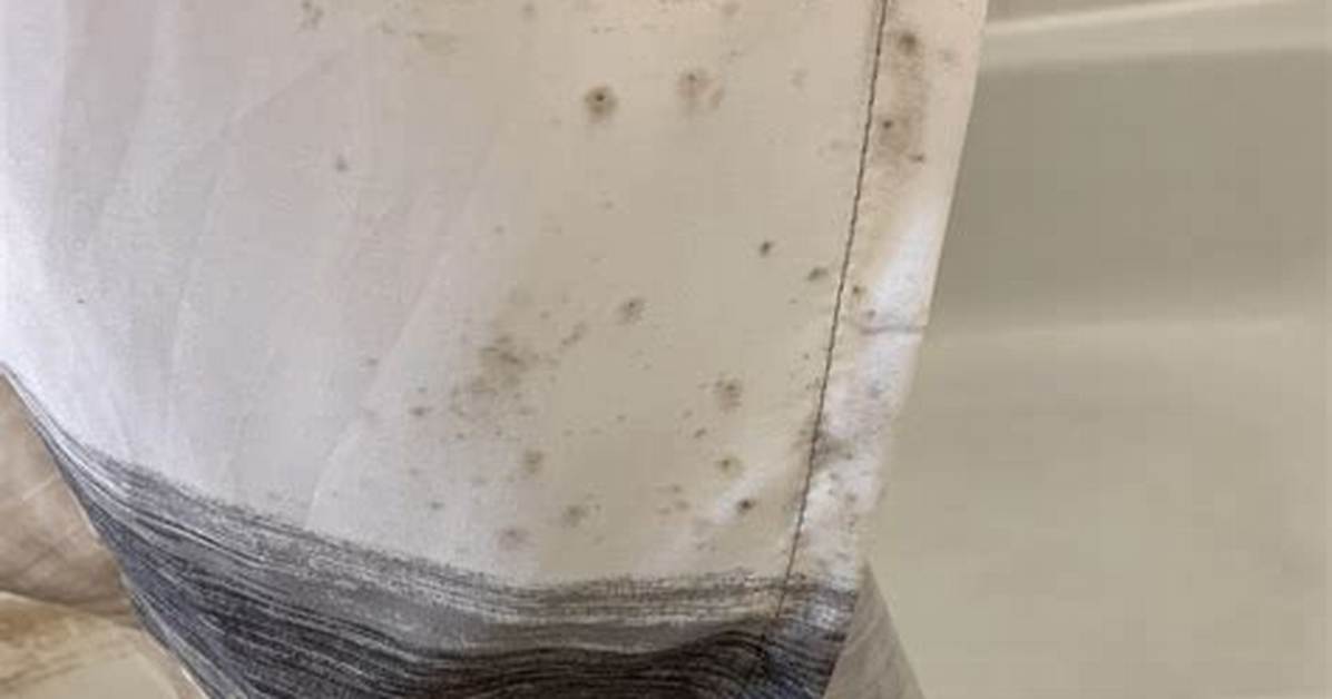 Can Mold on a Shower Curtain Make You Sick?