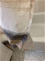 Can Mold on a Shower Curtain Make You Sick?