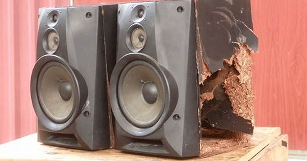 Can Speakers Be Damaged by Sound?