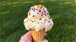 Can Vegetarians Eat Ice Cream?