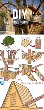 Can You Build a Treehouse in Los Angeles?