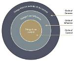 Can You Control the Size of an Orange Tree?