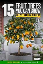 Can You Grow Fruit Trees in Wine Barrels?
