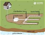 Can You Put Sprinklers over a Leach Field?