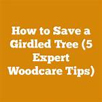 Can You Save a Tree with Girdled Roots?