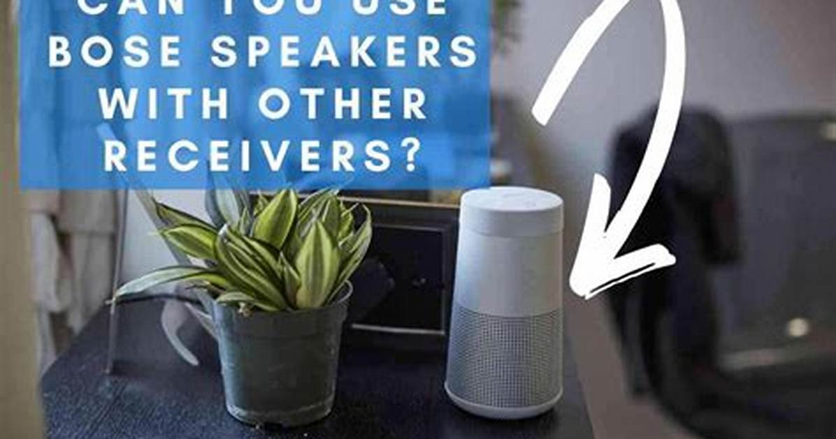 Can You Use Bose Speakers with Other Systems?