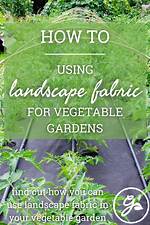 Can You Use Landscape Fabric in a French Drain?