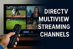 Can You Watch Netflix on Directv Without Internet?