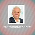 David Bamberger Net Worth, Income, Salary, Earnings, Biography