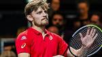 David Goffin Net Worth, Income, Salary, Earnings, Biography