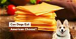 Do Canadians Eat American Cheese?