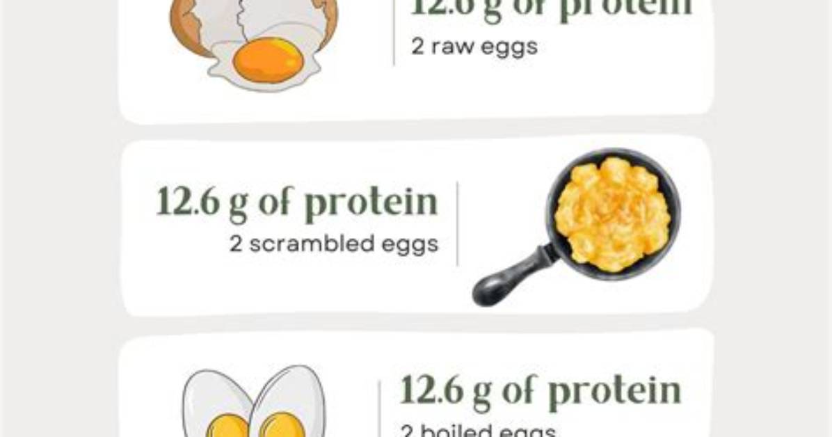 Do Eggs Have a Lot of Protein?