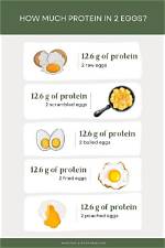 Do Eggs Have a Lot of Protein?