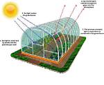 Do Green Houses Hold Heat?
