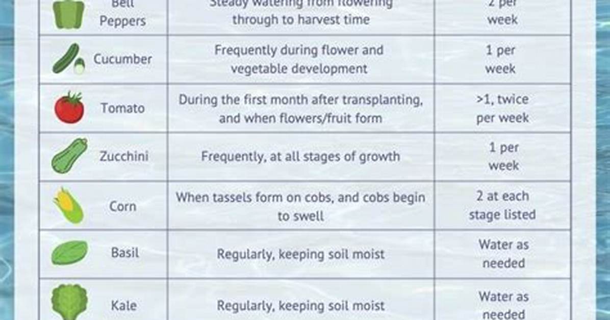 Do I Need to Water My Vegetable Garden Every Day?