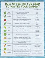 Do I Need to Water My Vegetable Garden Every Day?