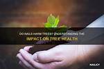 Do Nails Hurt Oak Trees?