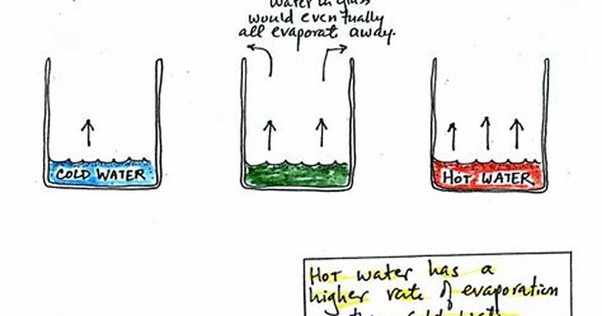 Does Hot or Cold Water Evaporate Faster?