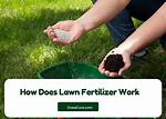 Does Old Fertilizer Still Work?