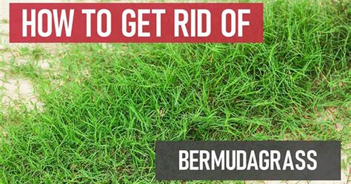 Does Preen Stop Bermuda Grass?