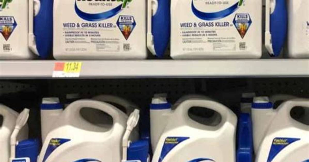 Does Roundup Work in Late Fall?