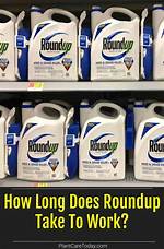 Does Roundup Work in Late Fall?