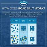 Does Salt Prevent Ice from Melting?