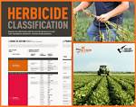 How Are Herbicides Used to Control Cottonwood Trees?