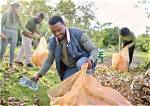 How Are Trees Helping to Clean up Waste?