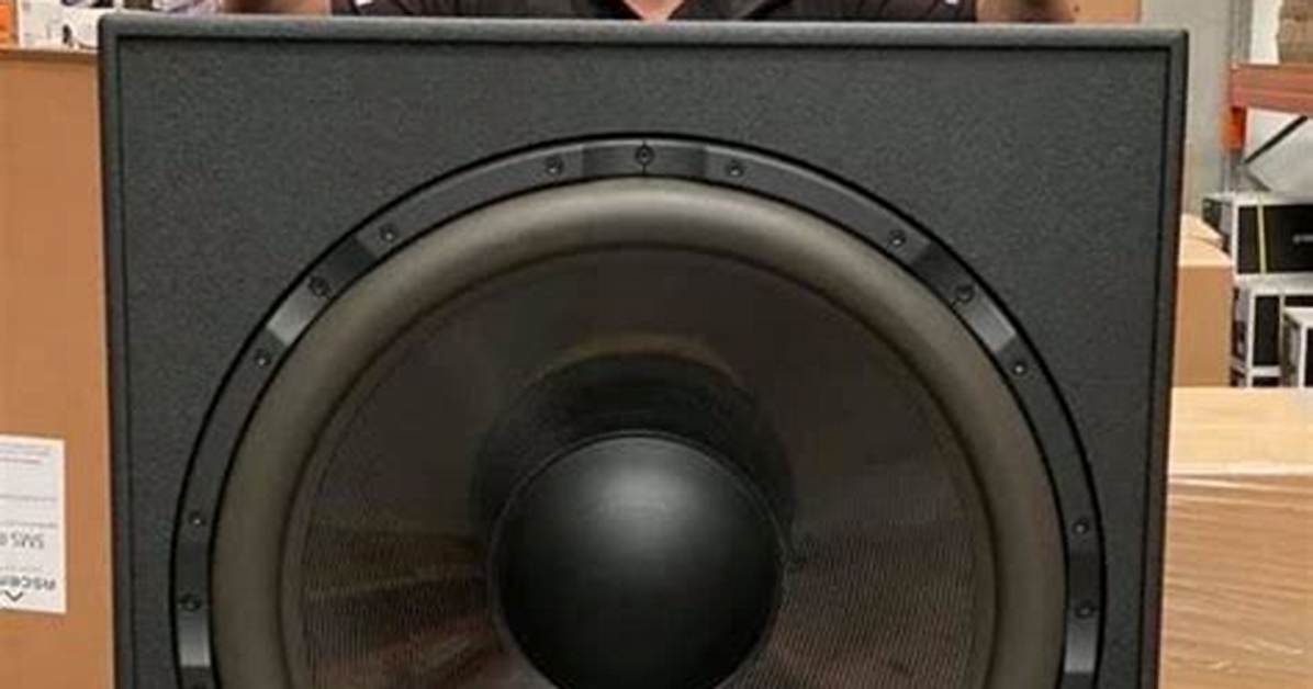 How Big Are the Loudspeakers on the Laney L20T?