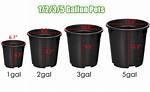 How Big Is a 5 Gallon Pot Container?