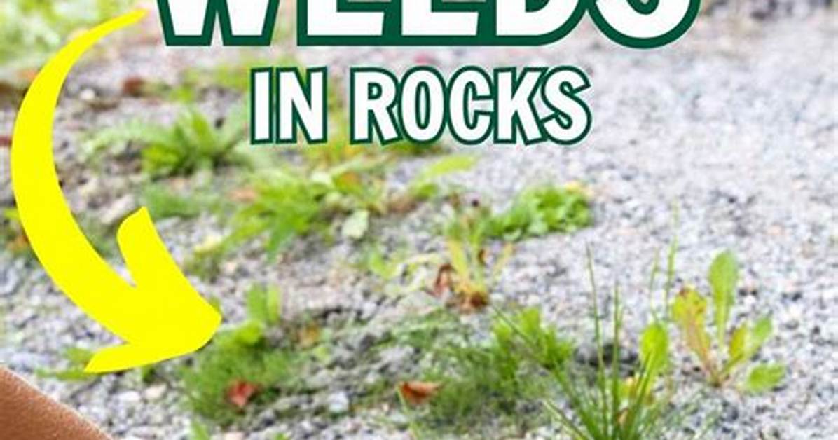 How Can I Get Rid of Weeds Permanently?