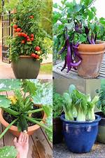 How Can I Make My Vegetables Grow Better?