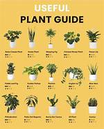 How Can I Tell What Plant This Is?