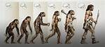 How Did the First Person in the World Make Cheese?
