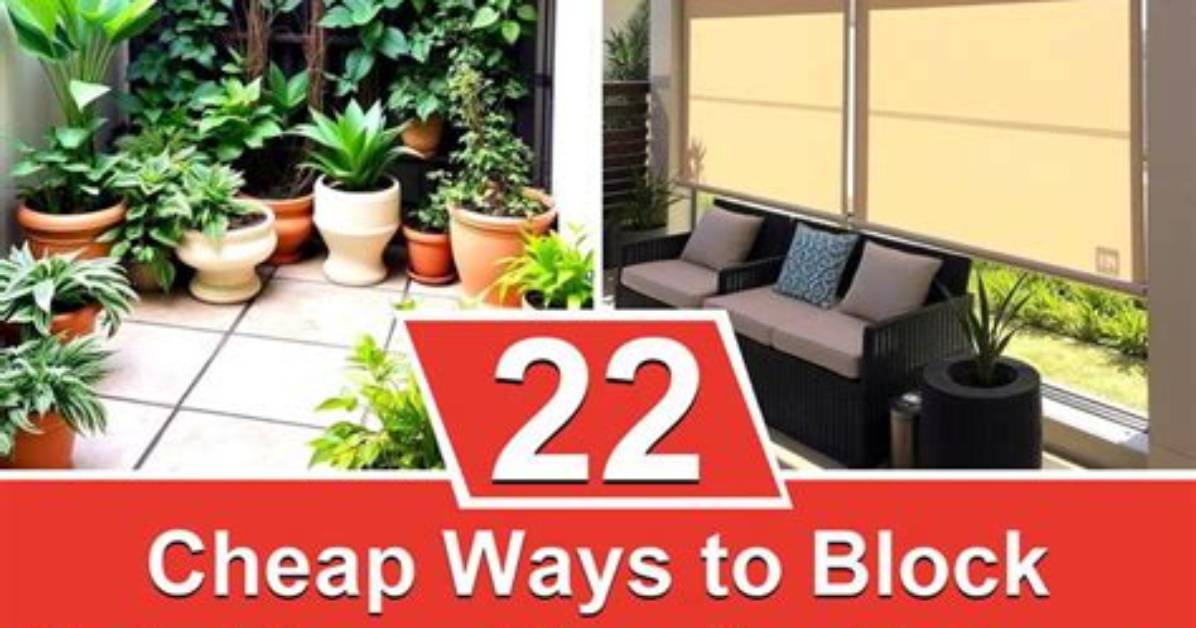 How Do I Block Neighbors View of My Yard?