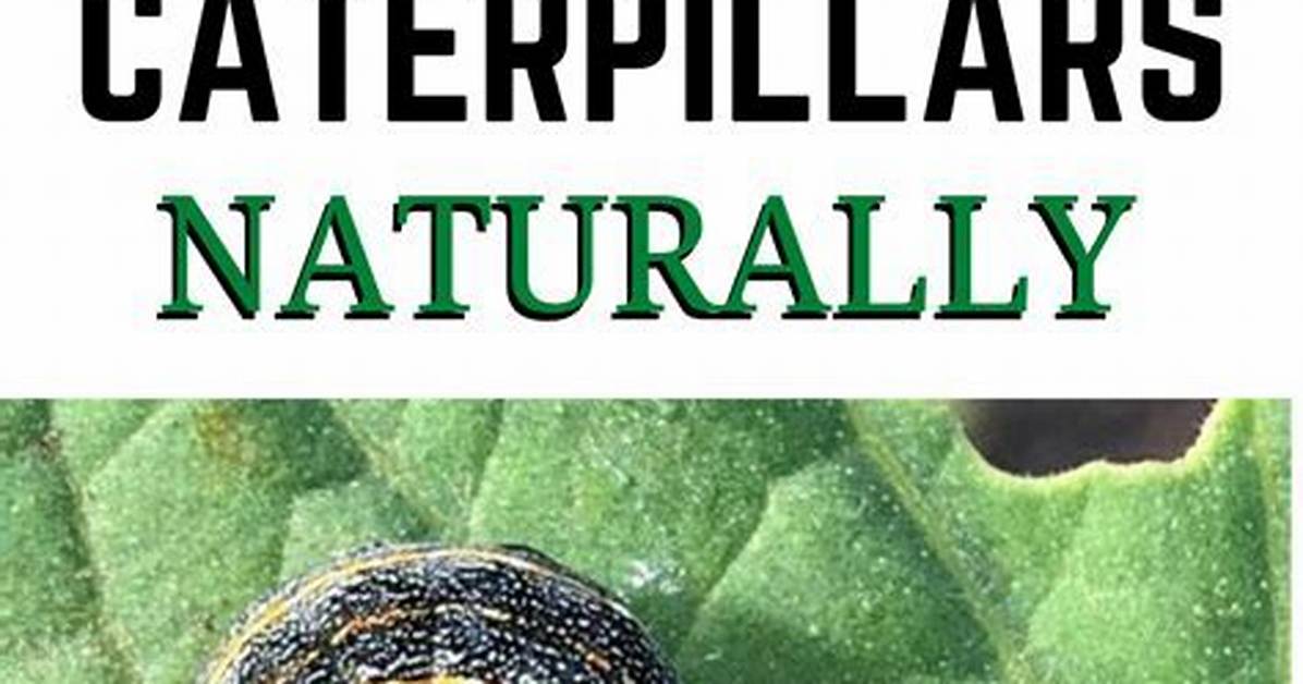 How Do I Fight Caterpillars in My Garden?