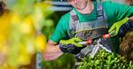 How Do I Find a Good Landscaper?