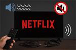 How Do I Get Netflix Sound to Play Through My Receiver?