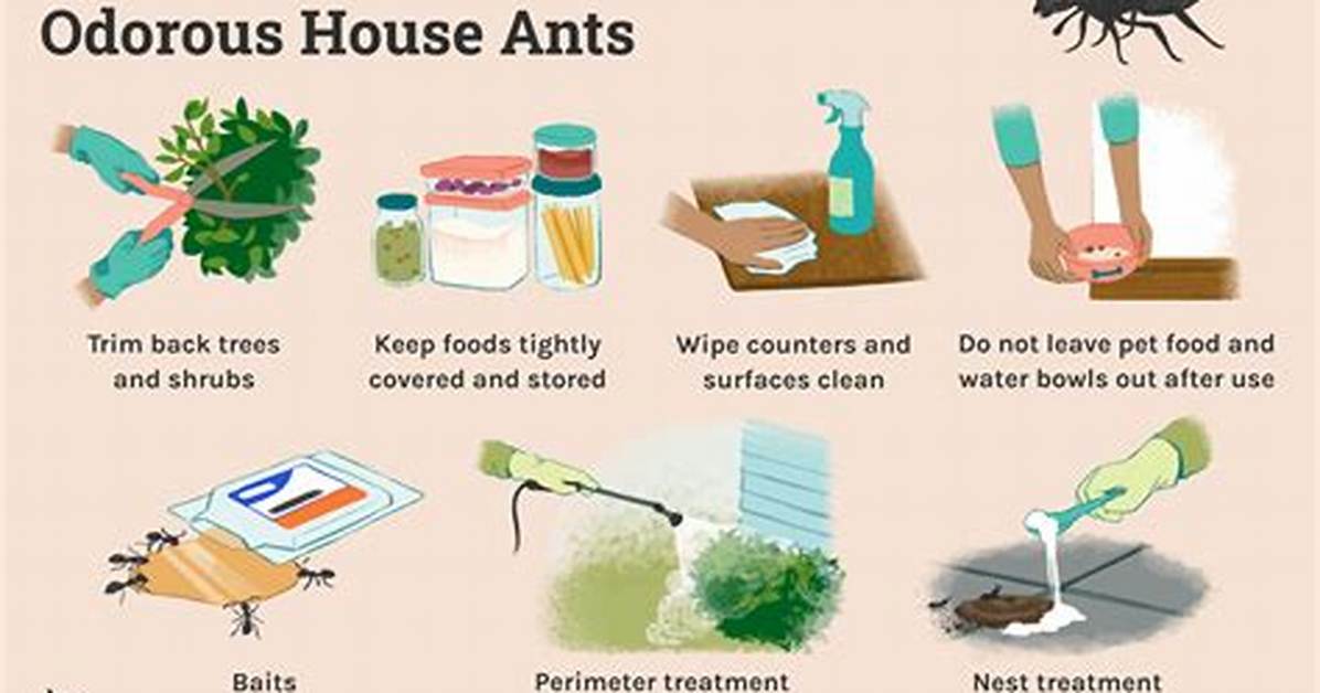 How Do I Get Rid of Armored Scale Insects?