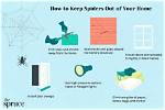 How Do I Keep Spiders out of My Room?