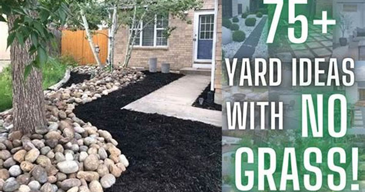 How Do I Make My Yard Less Muddy?
