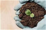 How Do I Prepare My Soil for Landscaping?